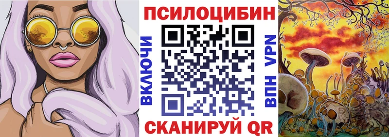 OMG как зайти  Губаха  Галлюциногенные грибы мухоморы  наркотики 